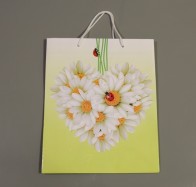 Подарункові ламіновані пакети